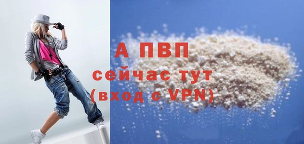 Альфа ПВП Новозыбков