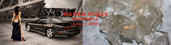 Альфа ПВП Новозыбков