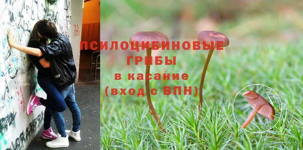 Альфа ПВП Новозыбков