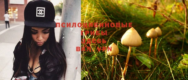 мяу мяу мука Новокубанск