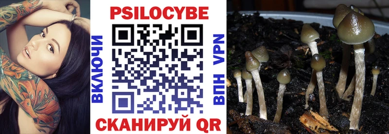 купить сайты OMG ССЫЛКА Псилоцибиновые грибы Psilocybine cubensis Южноуральск
